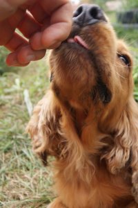 10580626_797338033631659_1382718865_n