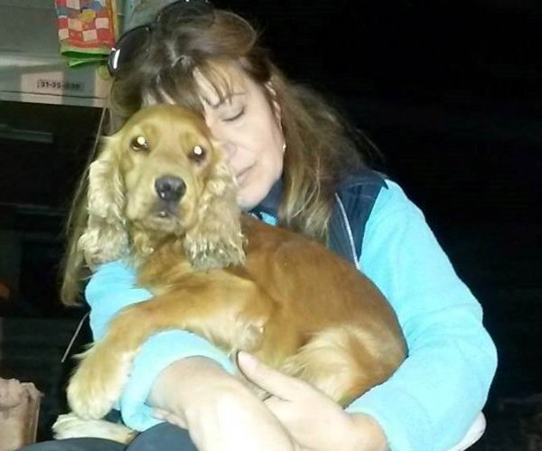 10722477_606868319435186_248081281_o